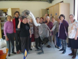 Vers l'écrevisse à plumes...