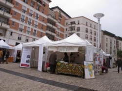 Village des Initiatives Solidaires