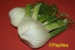 fenouil.jpg
