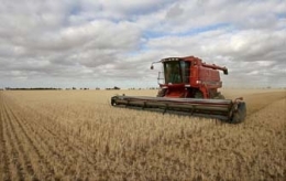 agriculture, agriculture durable, développement durable,co2, changements climatiques, gaz à effets de serre