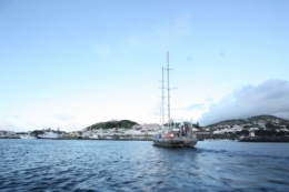 tara,expédition,océans,sciences,écologie