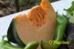 potiron-epices03.jpg