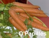 carotte.jpg