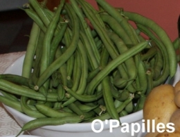precisions-haricots-verts.jpg