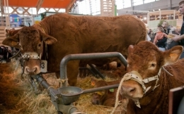 gaz à effets de serre,agriculture,énergies renouvelables,energie,sylviculture,développement durable