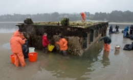 biodiversité,océans,japon,amérique,écosystème,nature,espèces