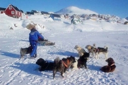 foret,groenland,glaciation,sciences,environnement,réchauffement climatique