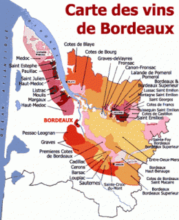 vins,viticulture,changements climatiques,bordeaux,vigne,écosystème