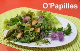 salade-laitue-fleurie04.jpg