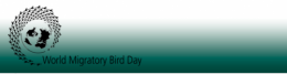 oiseaux-migrateurs02.png
