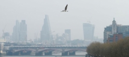 pollution,transport,londres,chine,air,santé,co2,europe