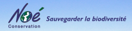 finsaison03.png