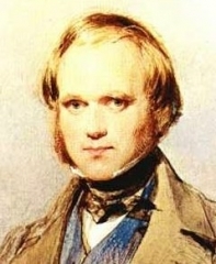 darwin-jeune.jpg