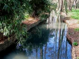 bassin, végétalisation,saule,érosion,argile