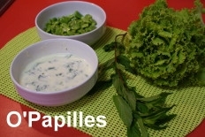 feves-menthe02.jpg