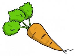 légumes,fruits,antioxydants,bêta-carotène,sciences