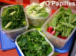 panier101109-gestion.jpg