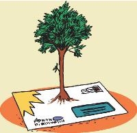arbres,environnement,déforestation,déchets,recyclage,pollution,foret,bois