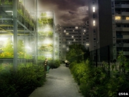 ville, urbanisme, agriculture, potagers, architecture,consommateurs