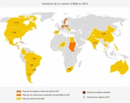 ogm,maïs,agriculture,terre,usa,chine,biologie