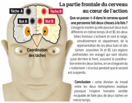 sociologie,éducation,philosophie,cerveau,jeunesse