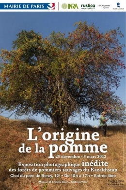 pommes,pesticides,chine,biodiversité,ours