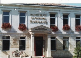 vins,vigne,medoc,randonnée pédestre,randonnée,vtt,vélo