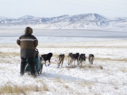 voyage,vanier,mongolie,chine,expédition
