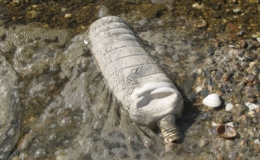 pollution,plastique,déchets,environnement,océans,consommation,consommer autrement,pétrole