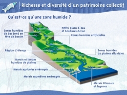 eau,eau potable,planète,sciences,économie,écosystème