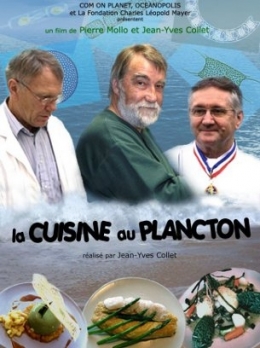 cuisine,plancton,mer,océan