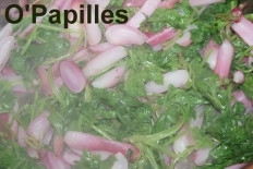 radis-fanes-pennes03.jpg