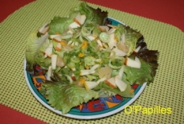 fenouil-salade04.jpg