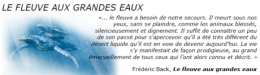 fleuve-st-laurent01.png