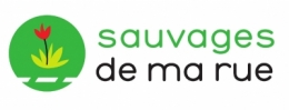 sciences,ville,flore,botanique,éducation, biodiversité