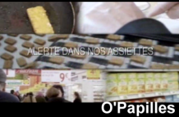 alerte-assiettes.png