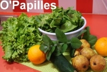 epinards-concombre01.jpg