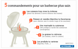 barbecue,santé,bière,marinade,cuisson,sciences,hydrocarbures