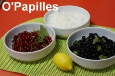 confiture-cassis-groseilles01.jpg