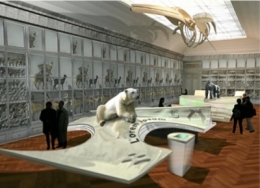 musée,bordeaux,environnement,nature,espèces menacées,diversité