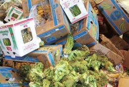 alimentation,légumes,fruits,consommer autrement,consommateurs