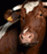 384620673.gif