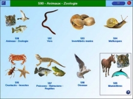 écologie,espèces menacées,réchauffement climatique,changements climatiques,biodiversité