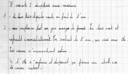 volcans,séismes,enfant,sciences,éducation,ile,océan