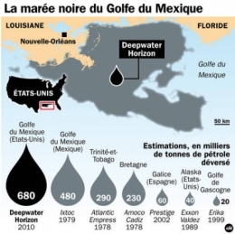 écosystème,pollution,poissons,amérique,usa,pétrole,marées noires