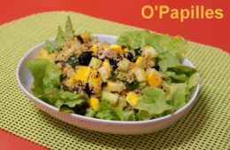 courgettes-concombre-menthe-salade03.jpg