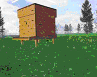jeux-abeilles.png