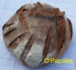pain-bio01.jpg