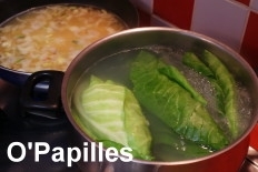 chou-paupiettes-riz02.jpg