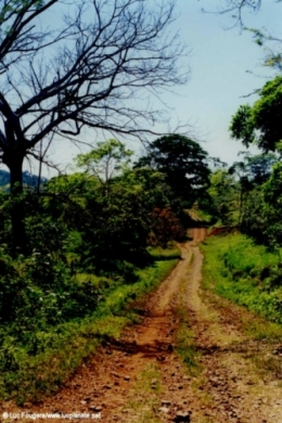 centeanaire-Costa_Rica.jpg
